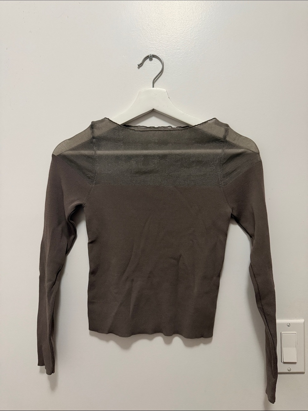 Zara Sheer Yoke Long-Sleeve Top in Taupe